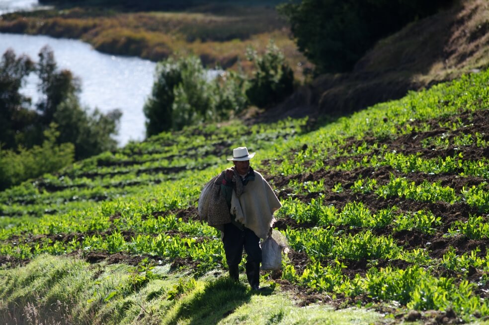 La UPRA, del Minagricultura, recibe premio internacional por su sistema de información
