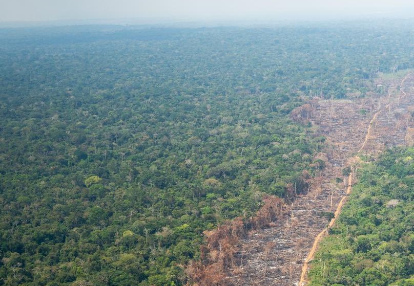 Gobierno presentó el cartel de “los más buscados” por deforestación en la Amazonia