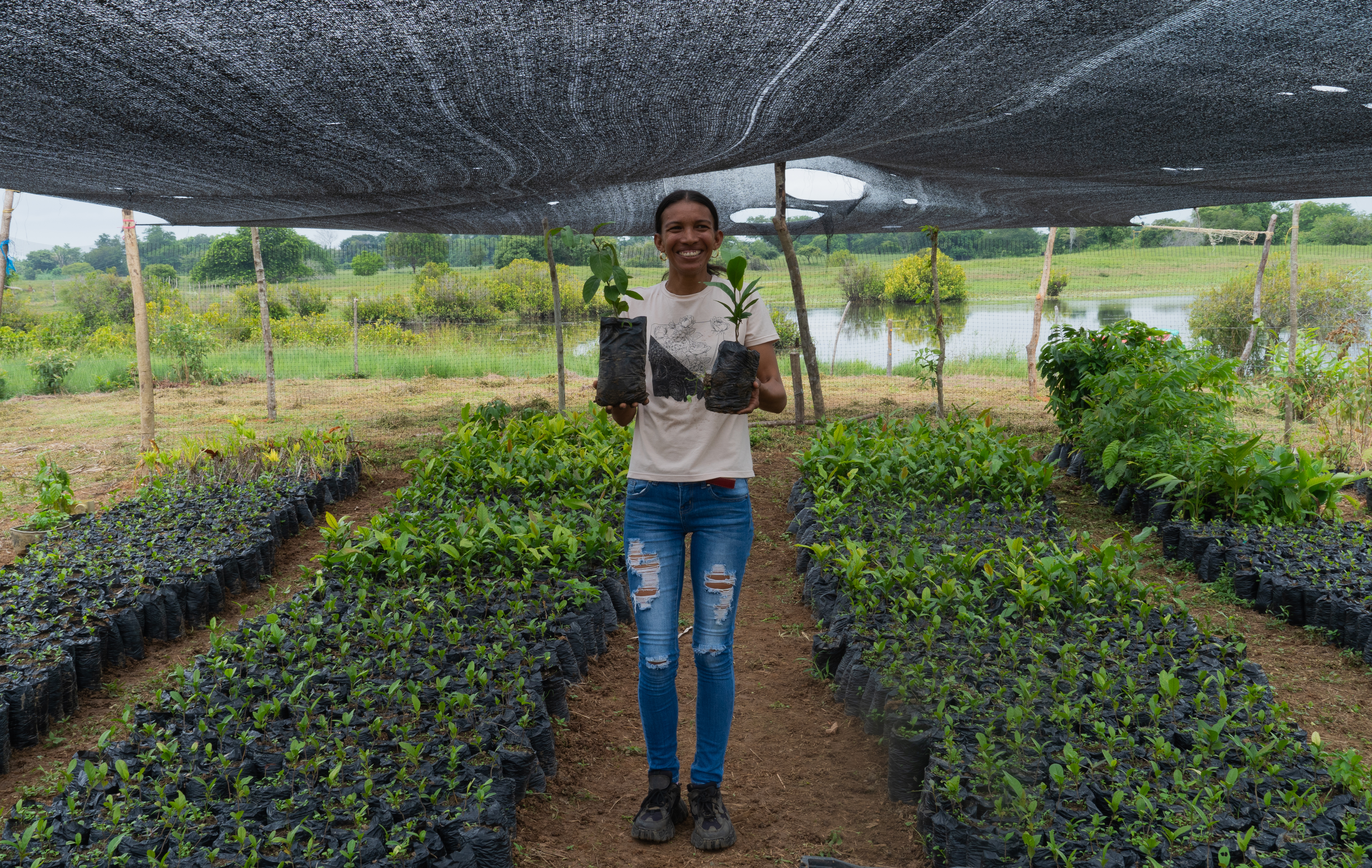 Laboratorios contra el cambio climático en uno de los humedales más grandes de Colombia