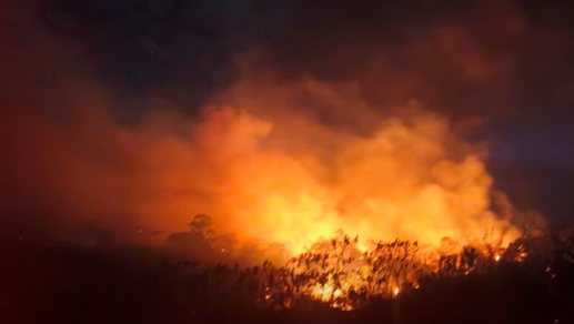 Congresistas piden refuerzo para controlar los múltiples incendios en Tolima y Cesar