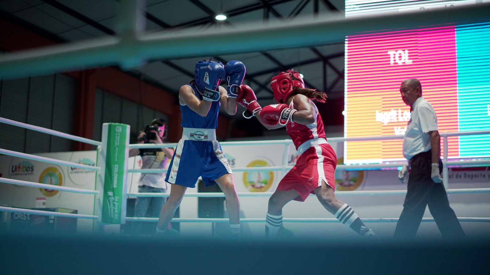 Federación Colombiana de Boxeo.