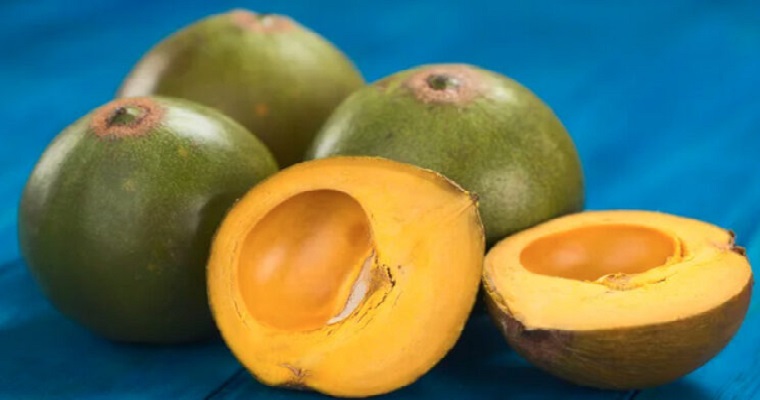 ¿Qué es la lúcuma, la fruta andina que es considerada un superalimento y dónde se consigue?