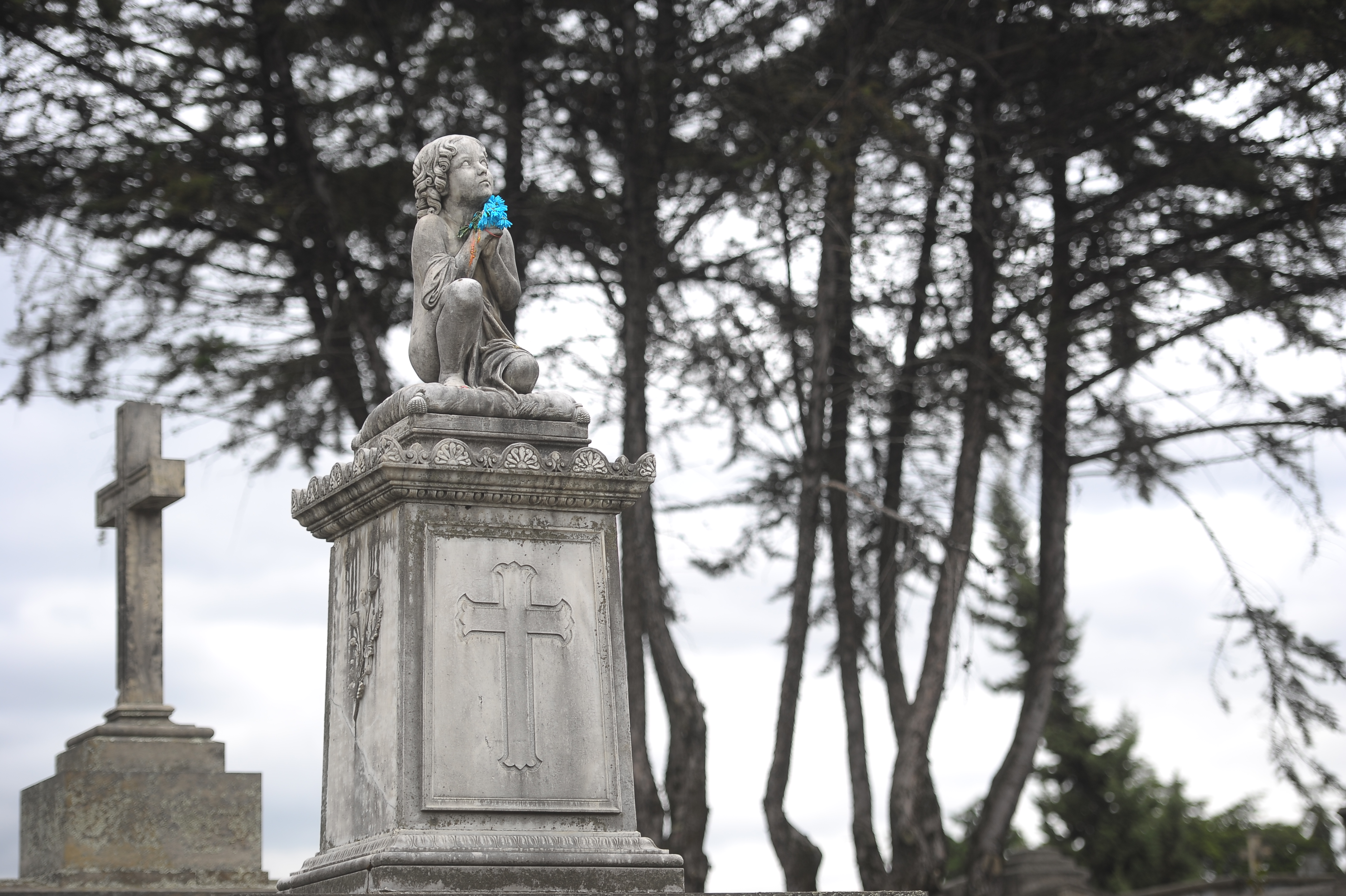 Se inaugurará una exposición en el Cementerio Alemán de Bogotá