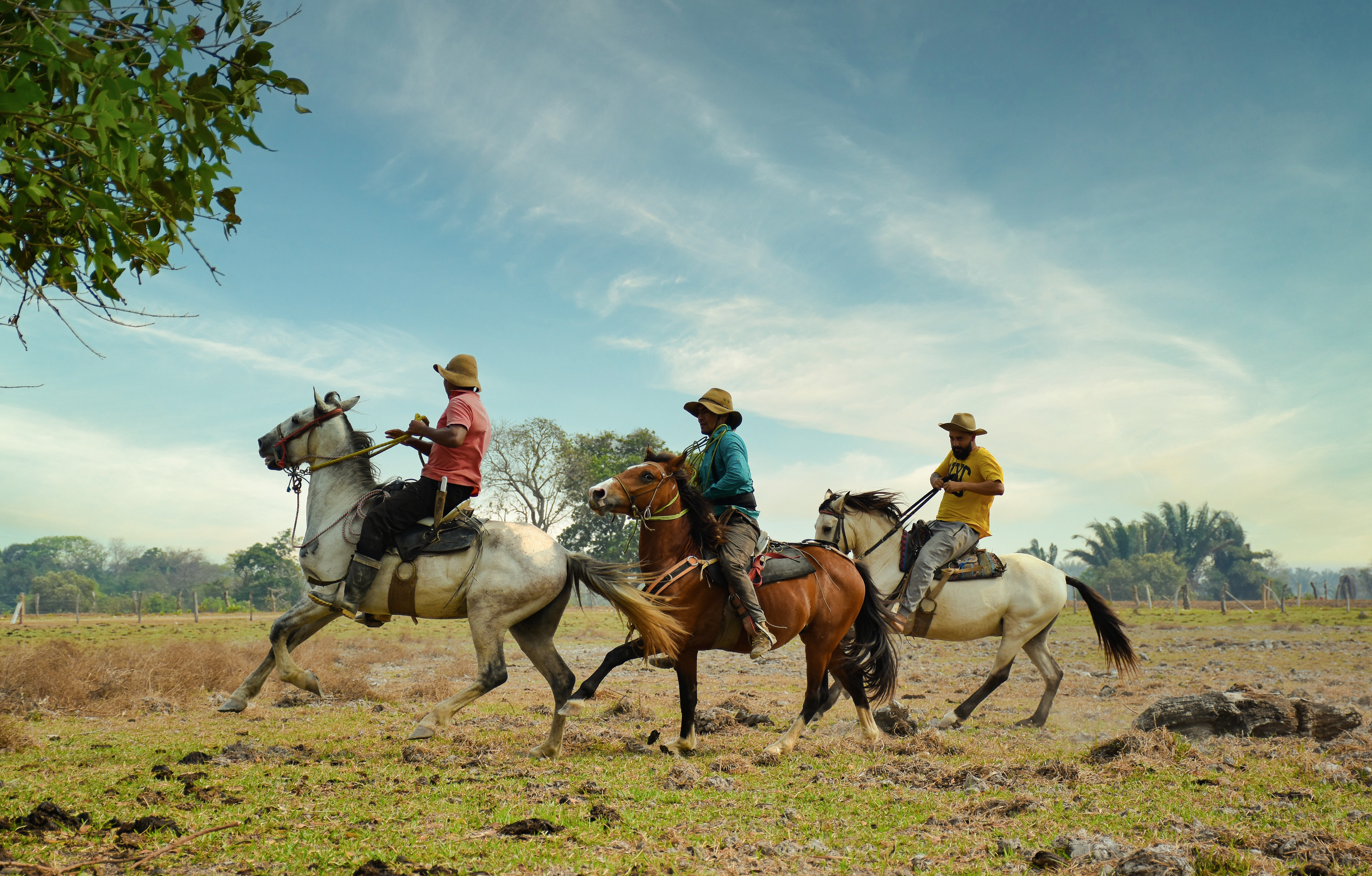 En FITUR 2021 reconocen estrategia de Colombia para reactivar el turismo
