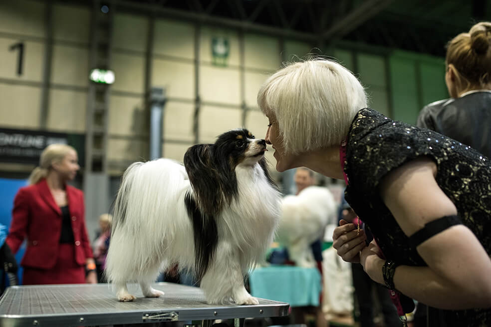 Crufts, la exposición canina más grande del mundo, abrió en Birmingham