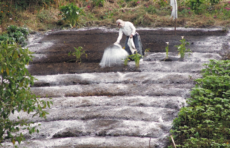 Este es el impacto de la guerra en Oriente Medio en la producción de alimentos en Colombia