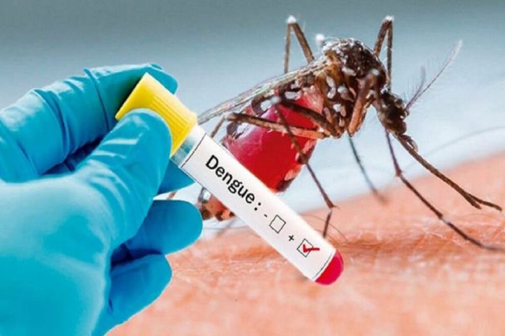 Cerca de mil personas han muerto por dengue en Brasil en lo corrido del año