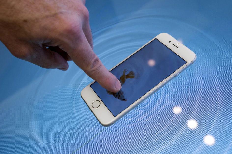 Morgan Stanley bajó su previsión de ventas unitarias del iPhone y ahora estima una caída de 6 % en el año fiscal de 2016. / Bloomberg