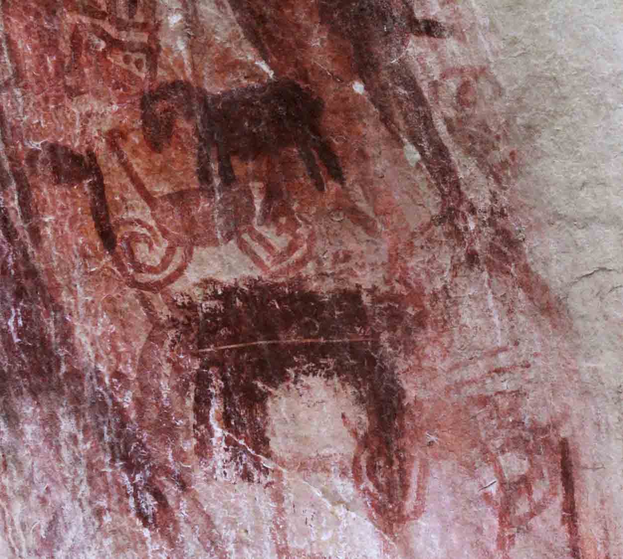 Figuras de caballos identificadas en La Lindosa.