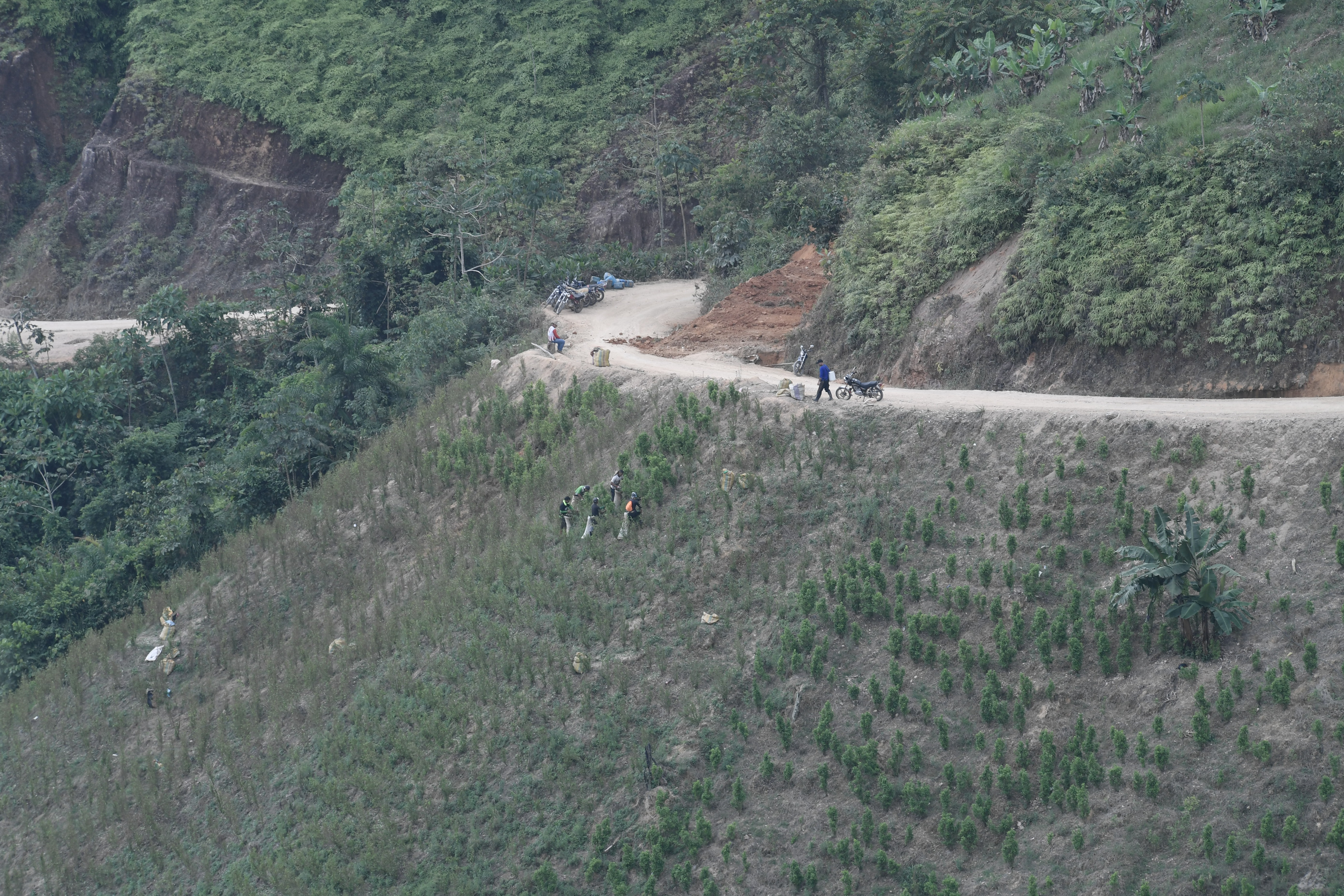 Ejército detonó bombas en Catatumbo que estaban cerca a donde se llevaron vacunas para el COVID-19