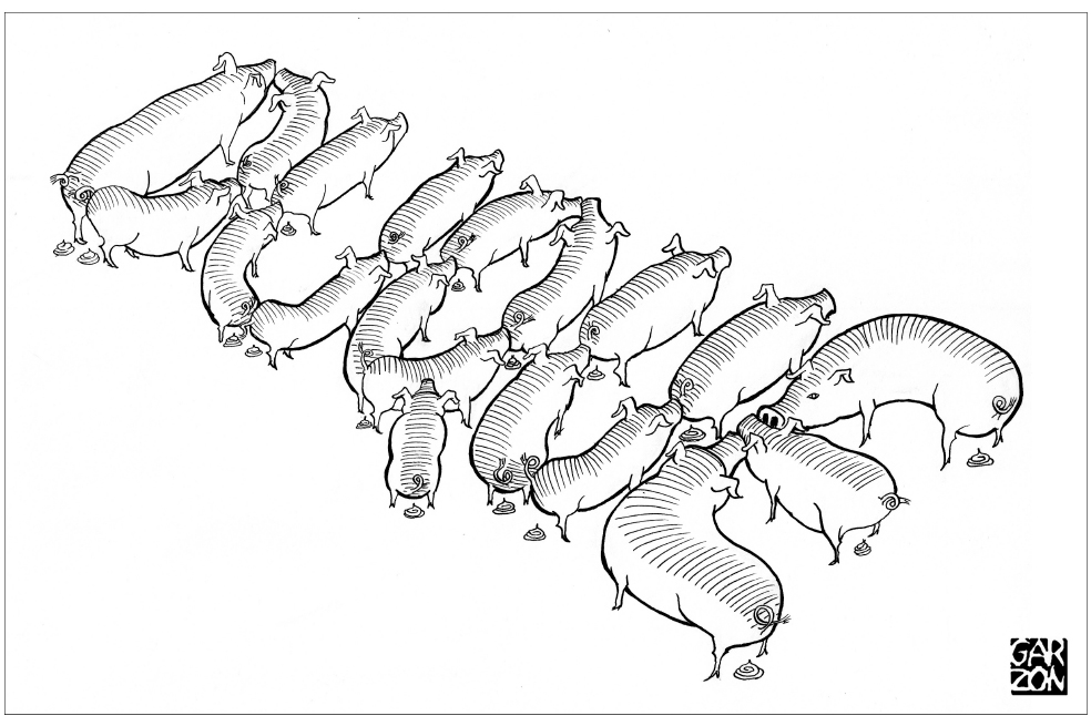 Cartones de Garzón