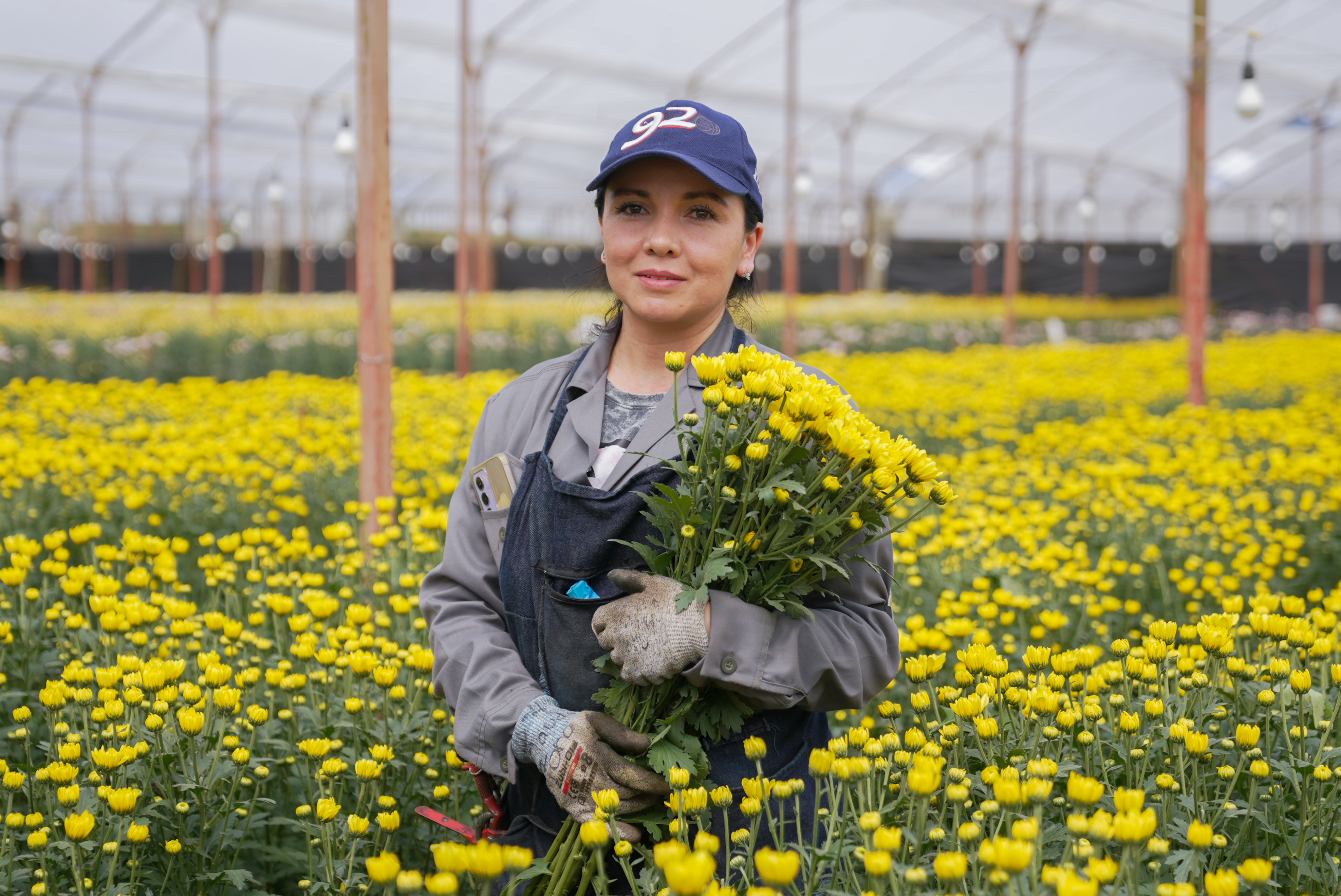 De Colombia para las madres del mundo: así se exportaron millones flores del país