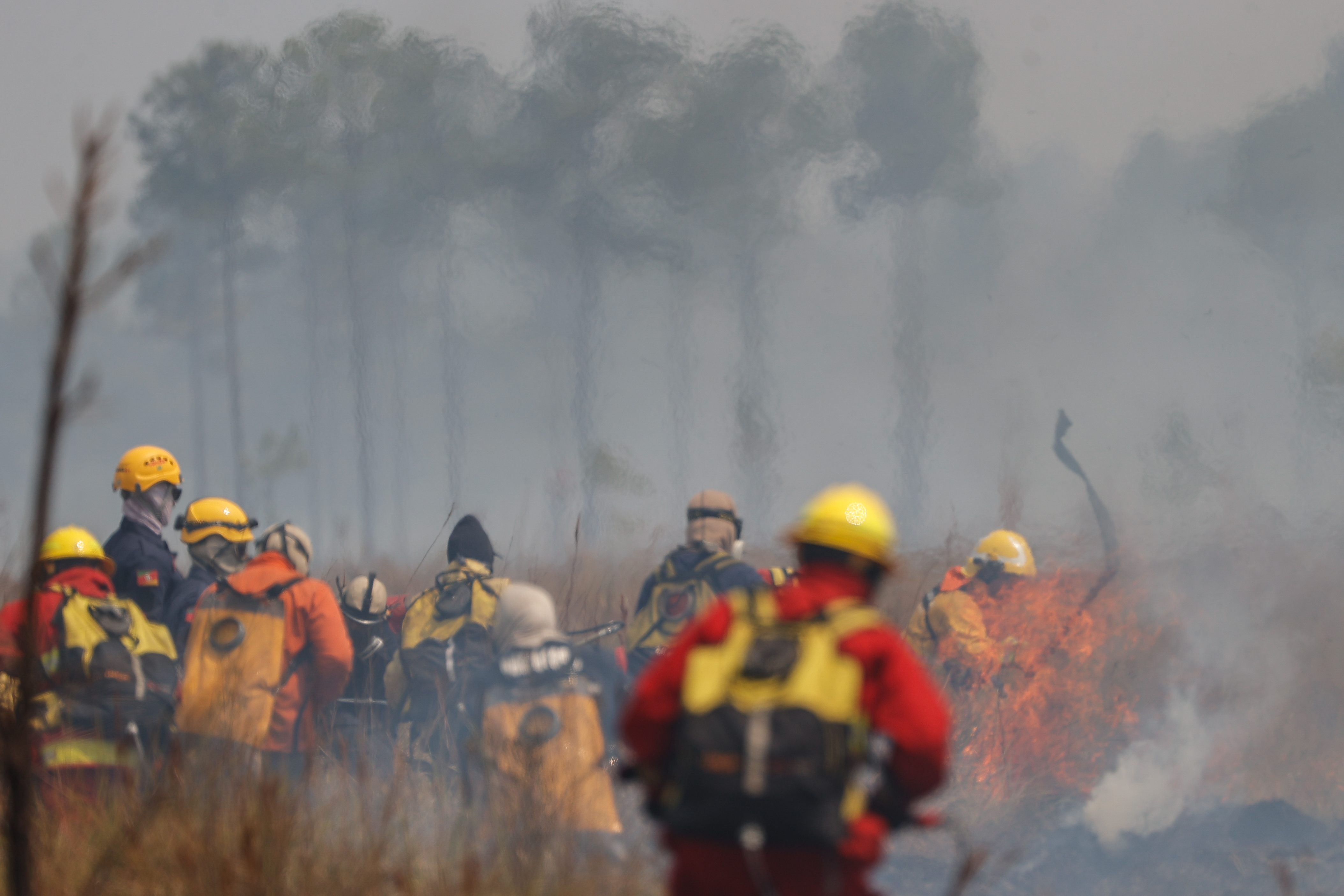 -FOTODELDIA- AME7726. CORRIENTES (ARGENTINA), 23/02/2022.- Bomberos combaten el 22 de febrero de 2022 uno de los incendios que consumen grandes áreas del territorio de la provincia de Corrientes (Argentina). Los incendios de la provincia argentina de Corrientes (noreste) llevan varias semanas arrasando todo a su paso, hasta el punto de calcinar el 40 % de la superficie del Parque Nacional del Iberá, hogar de humedales, pastizales y bosques nativos que afrontan pérdidas "incalculables" sobre su biodiversidad como consecuencia del fuego. EFE/ Juan Ignacio Roncoroni
