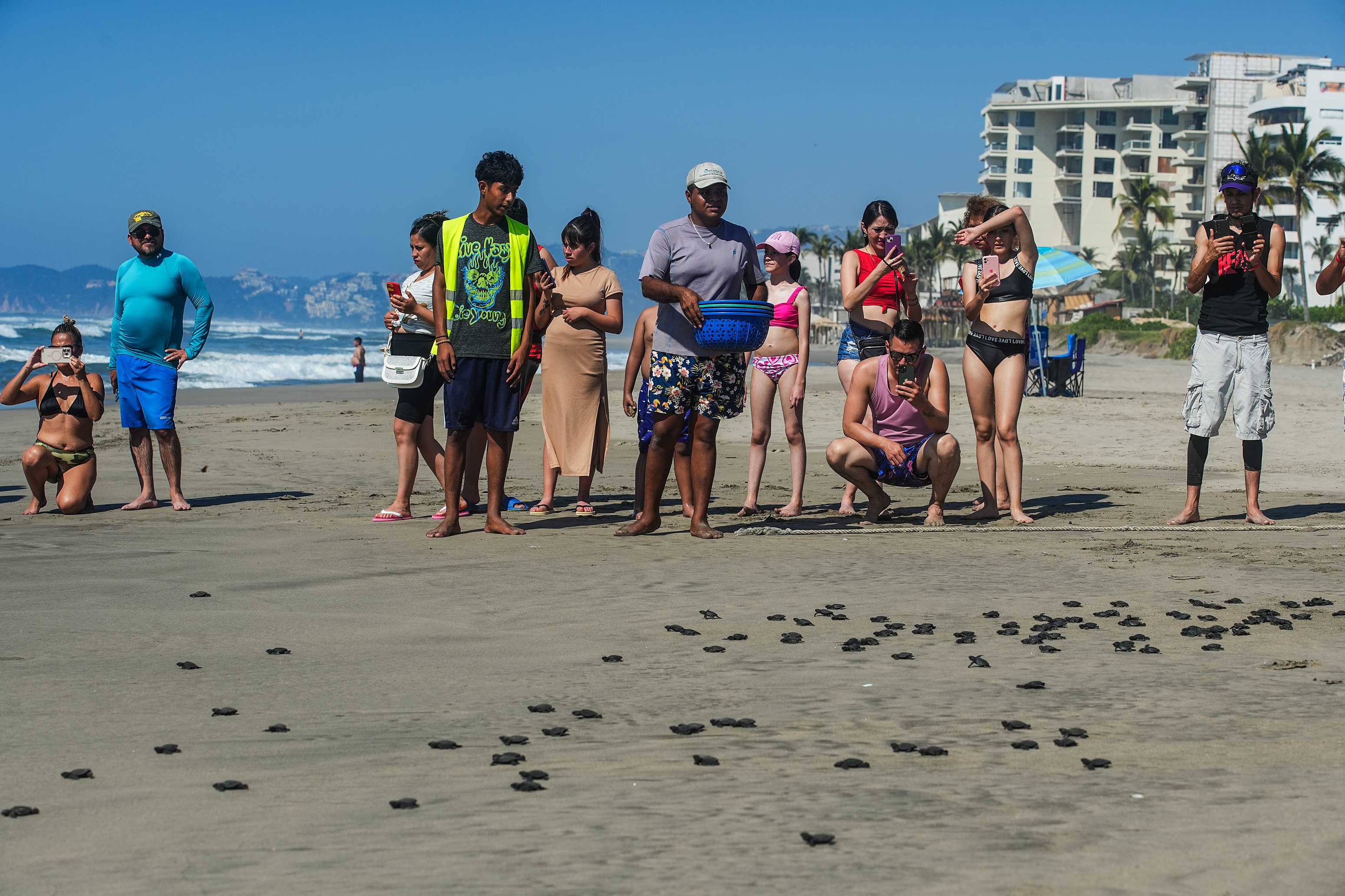MEX8076. ACAPULCO (MÉXICO). 14/12/2024.- Personas observan la liberación de tortugas este sábado en el balneario de Acapulco, Guerrero (México). Un festival para turistas nacionales y extranjeros en el estado de Guerrero, sur de México, permitió la liberación de 750 tortugas en peligro de extinción el Pacífico mexicano. EFE/ David Guzmán