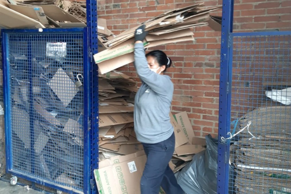 Según Cruz Verde, desde 2019 hasta agosto de este año han recuperado el material equivalente a 3.340 árboles.