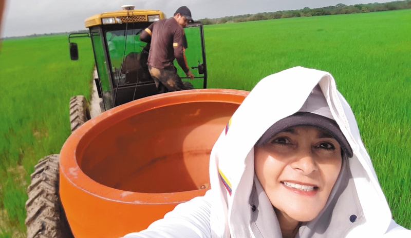 Las mujeres pioneras detrás de la exportación de arroz colombiano a Estados Unidos