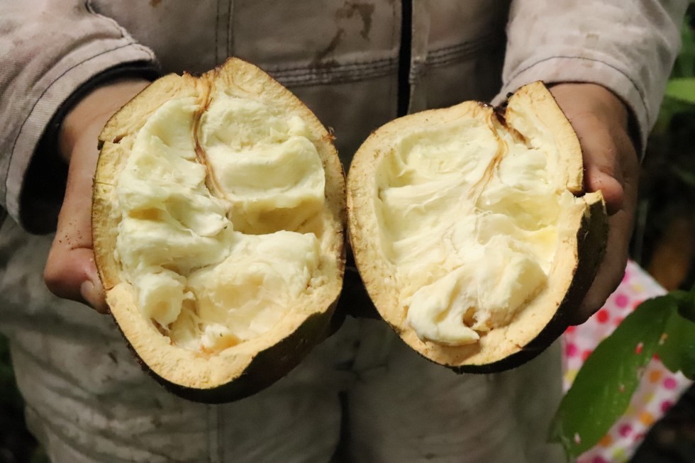 Plataformas de innovación para la transición hacia la agroecología en territorios