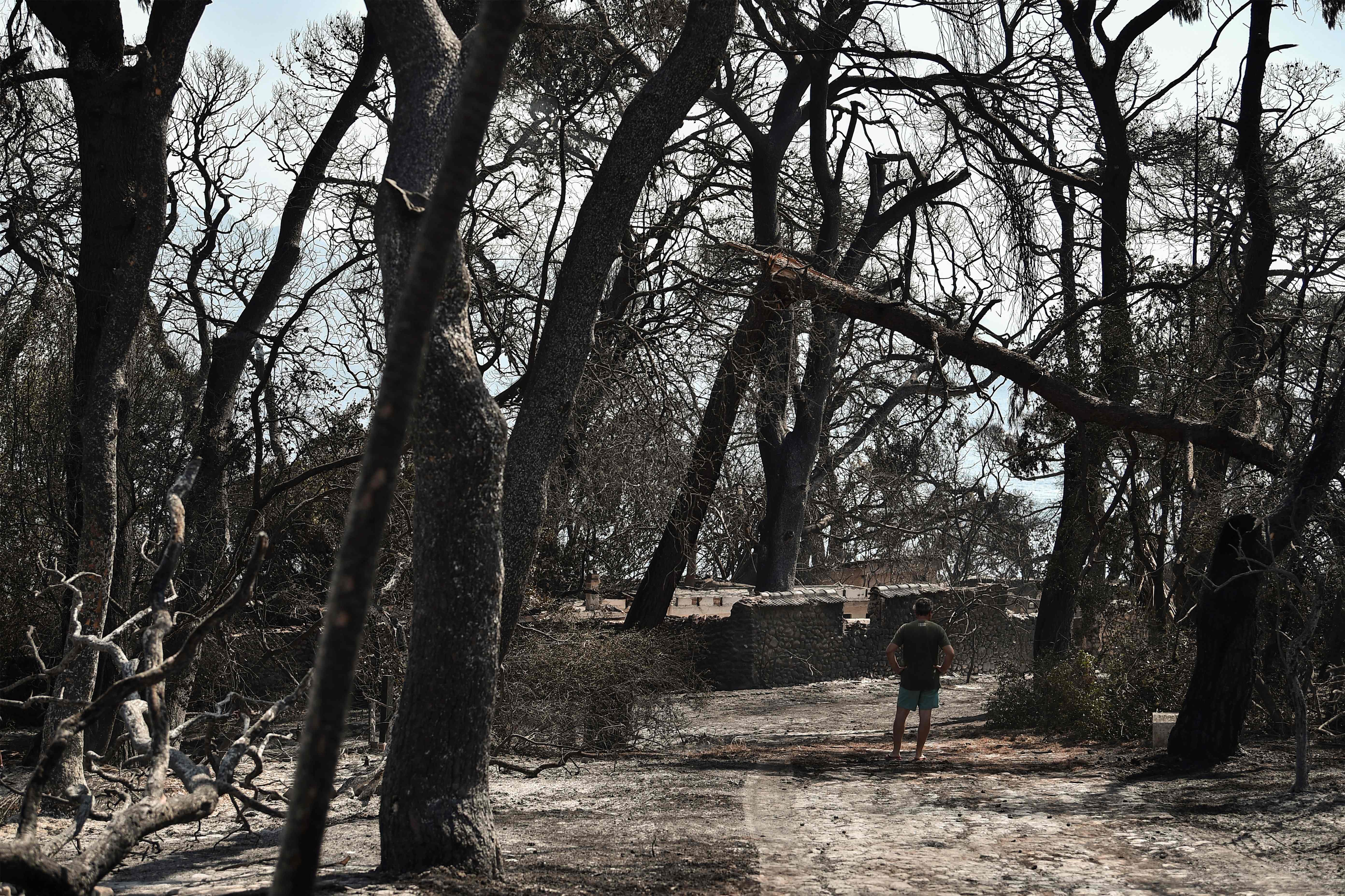 Los incendios asedian de nuevo a Grecia en medio de ola de calor