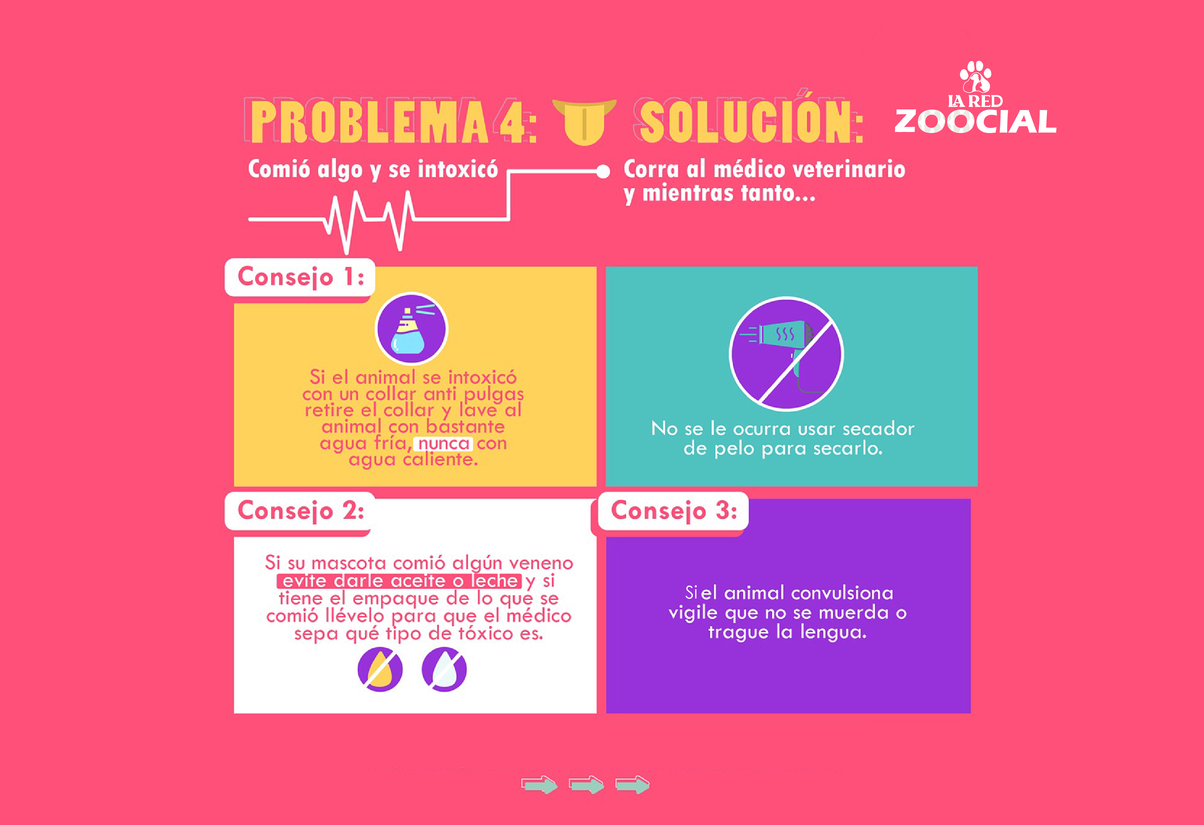 Primeros auxilios para animales
