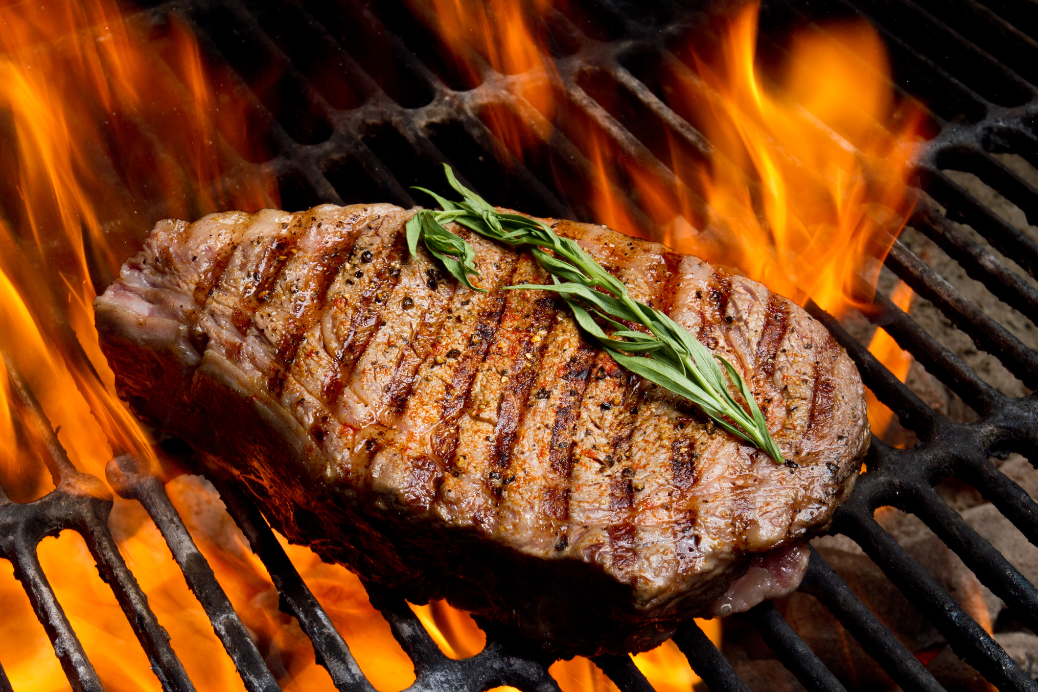 Carne