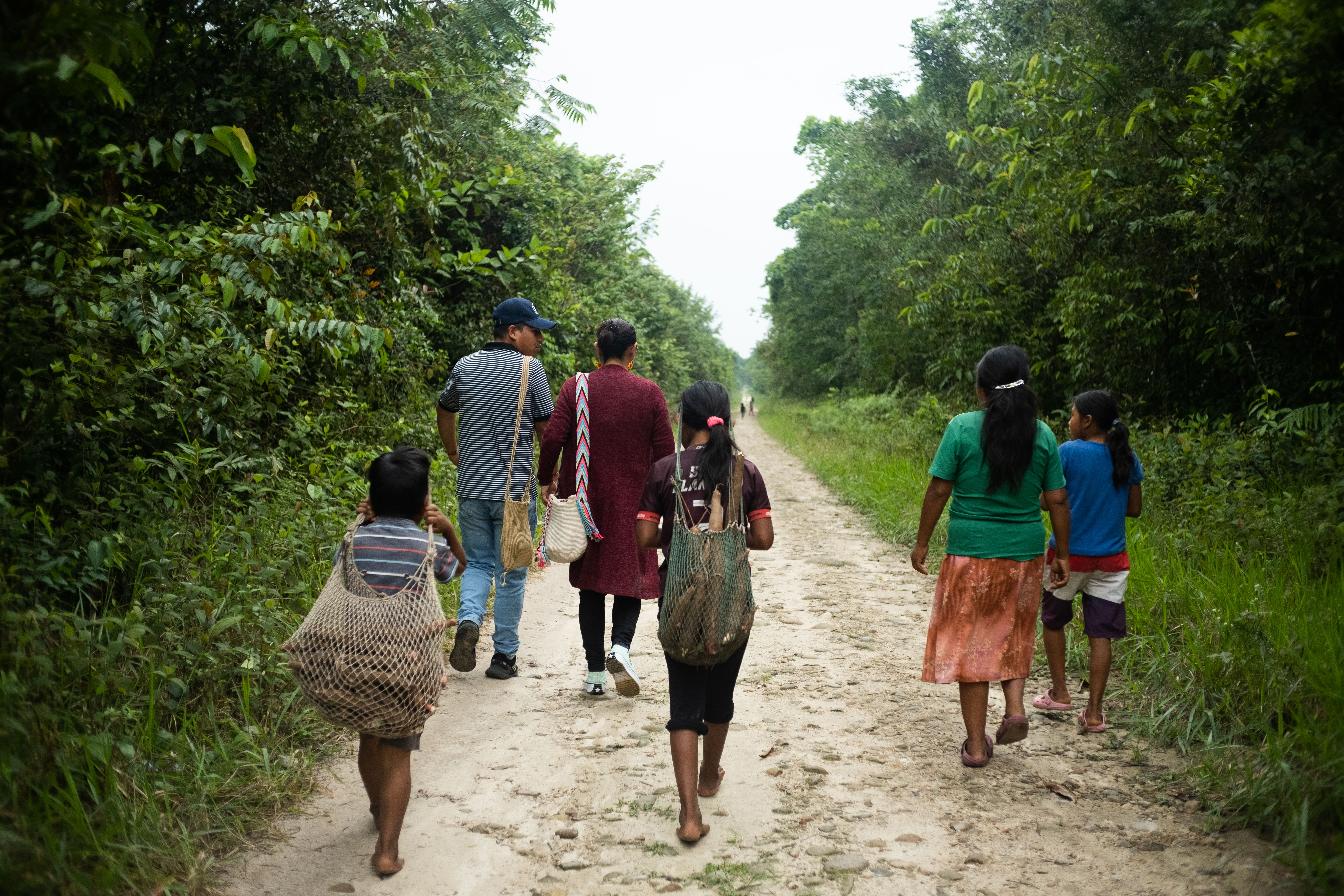 Las claves de la sentencia que busca salvar al pueblo indígena U’wa del exterminio