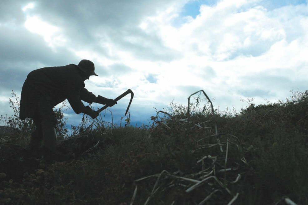 En el presupuesto de 2020, desfinanciaron la Reforma Rural Integral: investigador