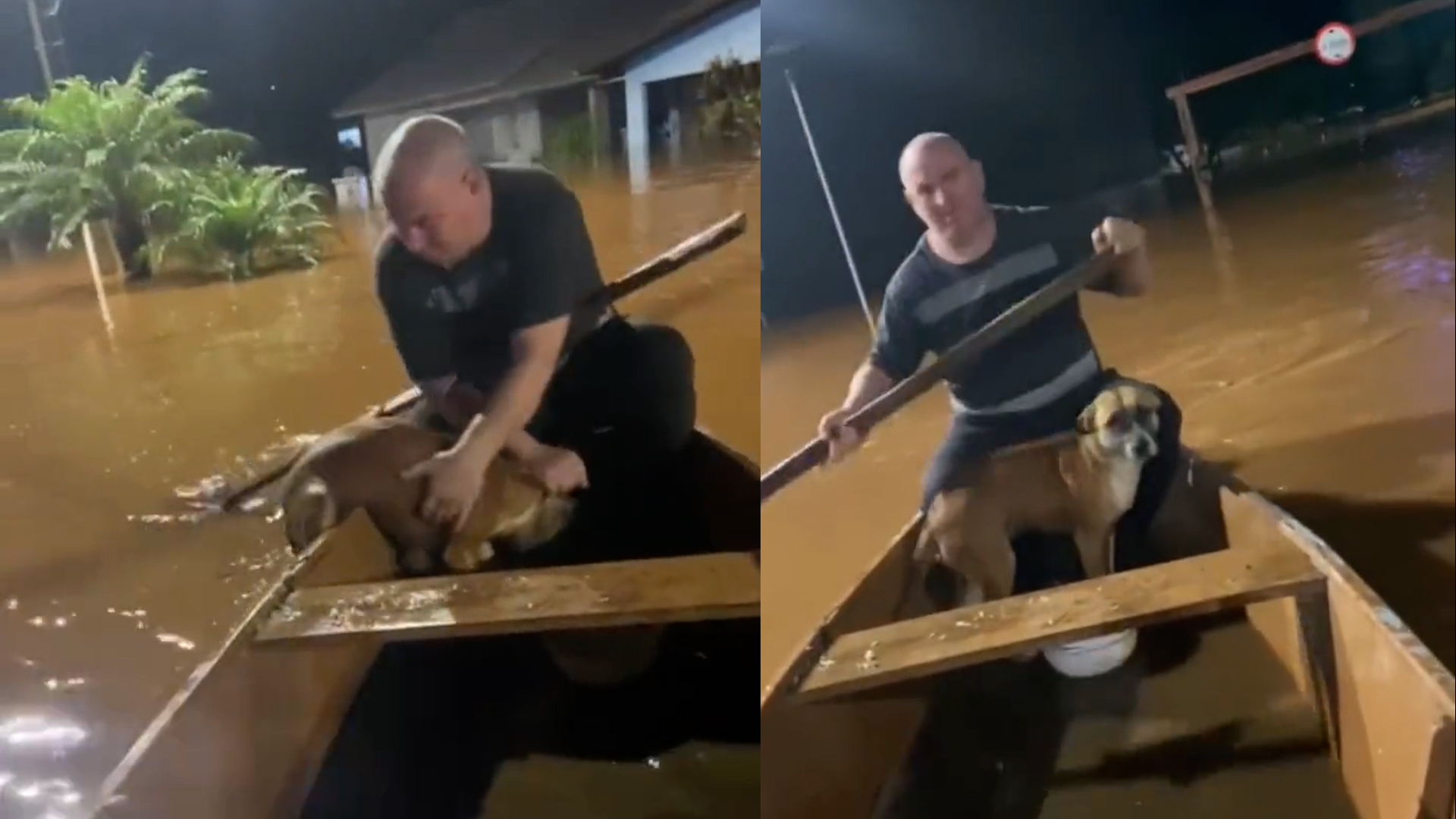 Video: padre e hija rescatan a un perro de las inundaciones en el sur de Brasil