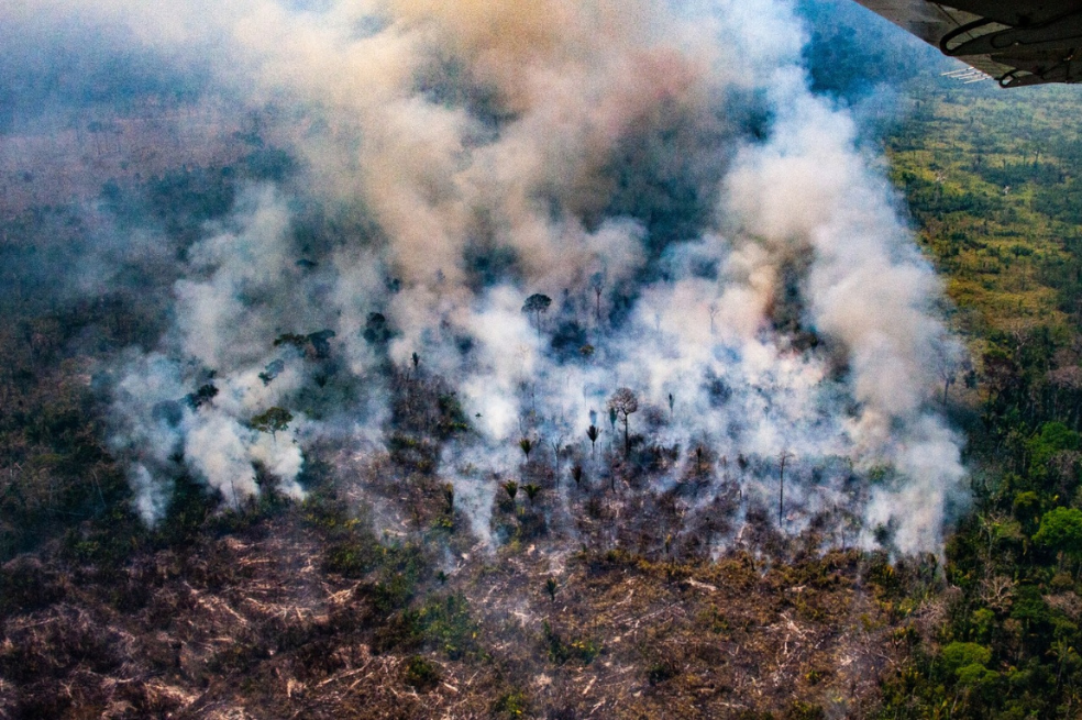 Incendios forestales dejaron nuevos récords de emisiones este año