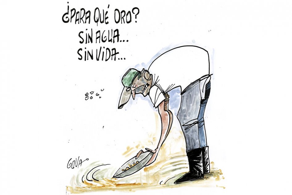 La instantánea