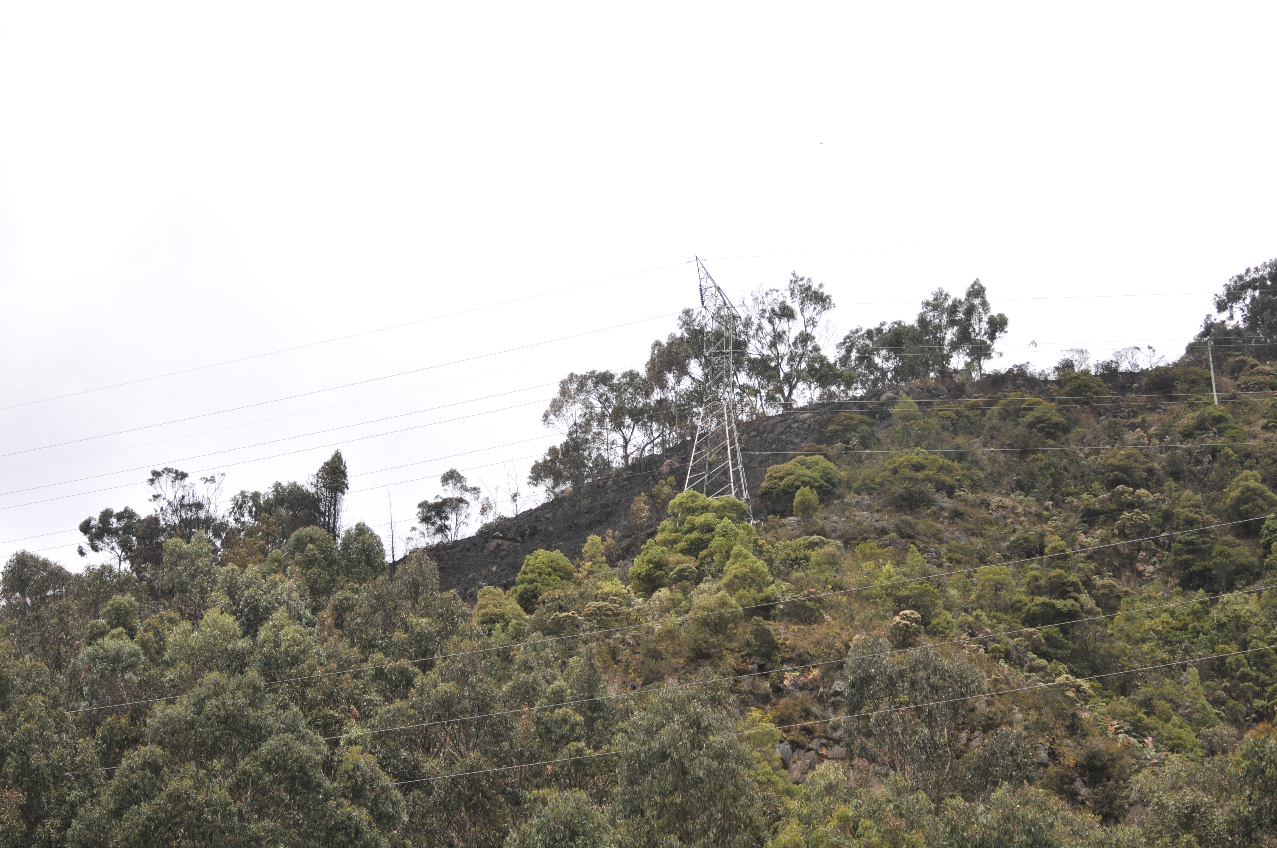 El sendero que unirá a Usme con Torca