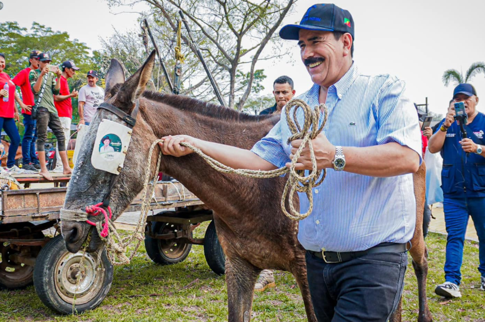Yopal sustituye 29 vehículos de tracción animal por motocarros