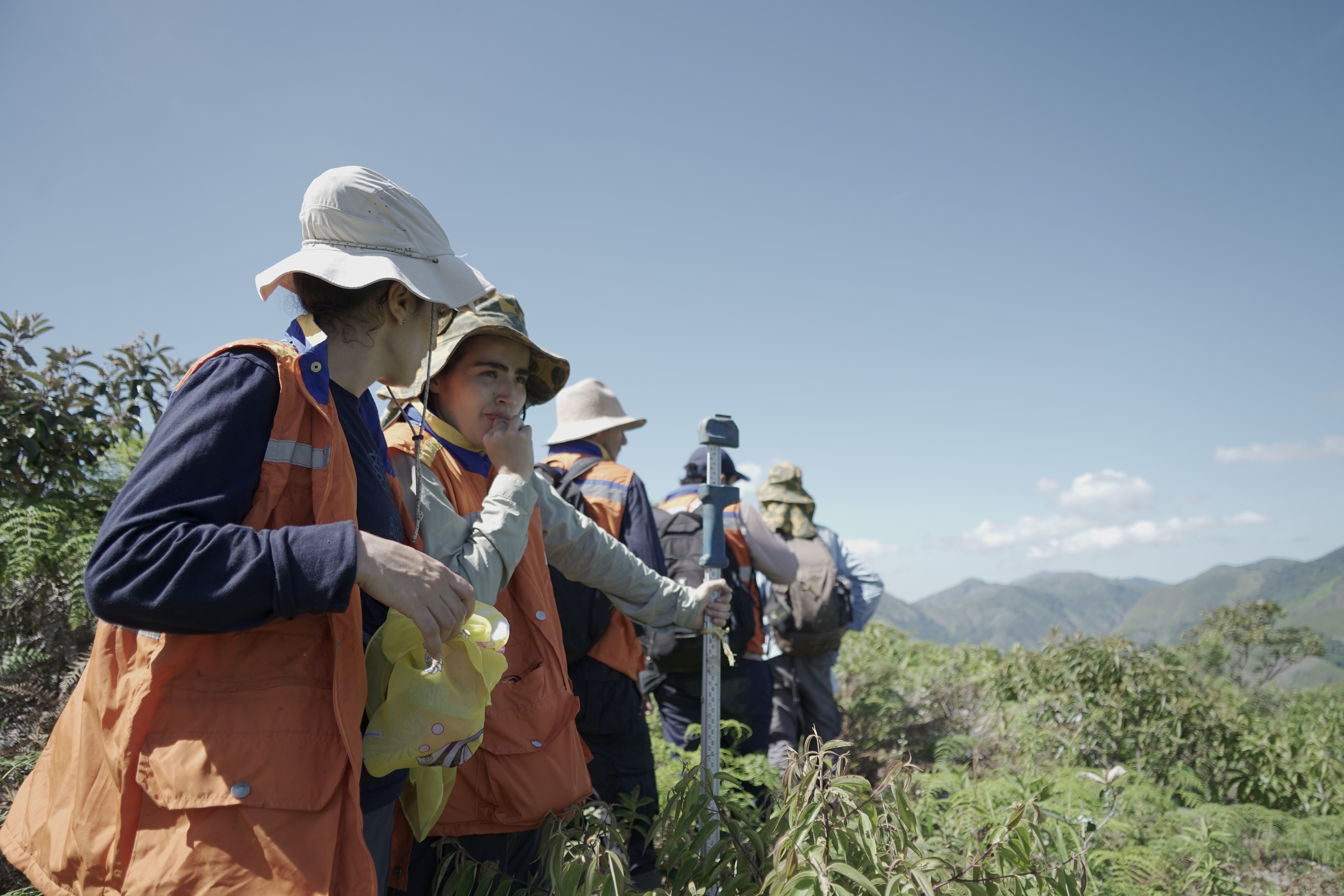 Primera expedición forestal: caminando los bosques colombianos