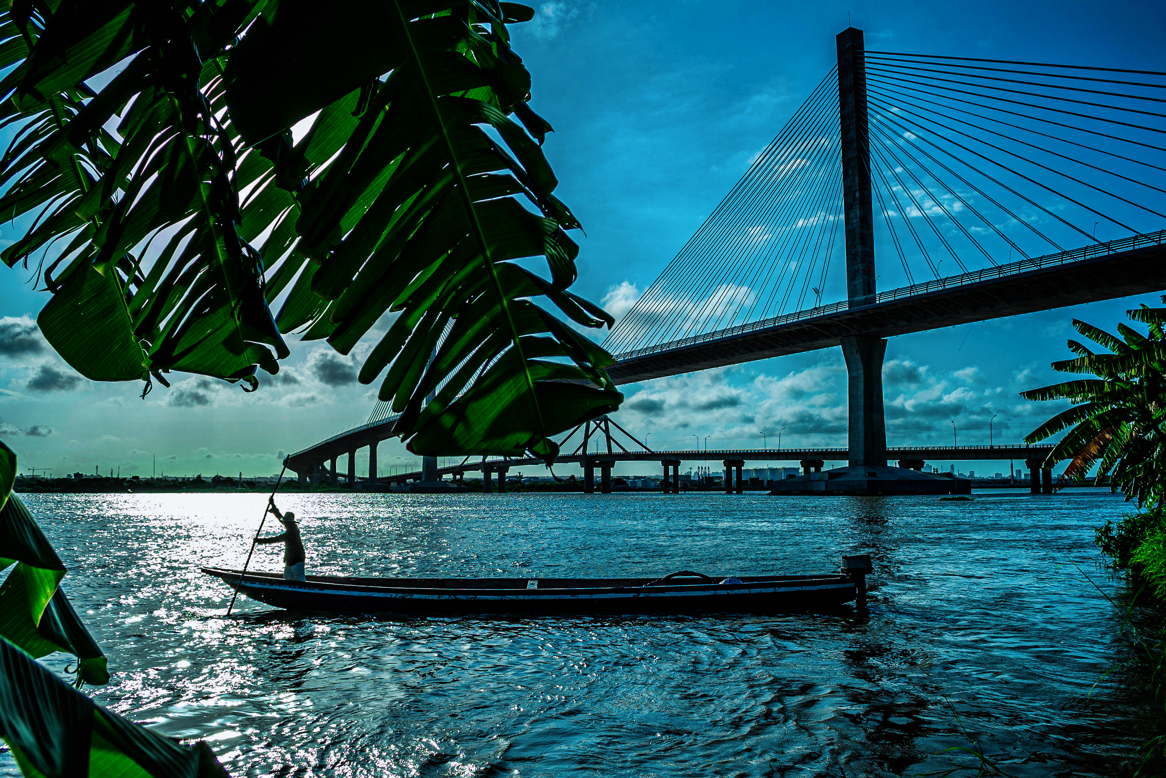 Autor: Deivis Ismael Bonilla Carreño / Río Magdalena Isla Pensilvania.