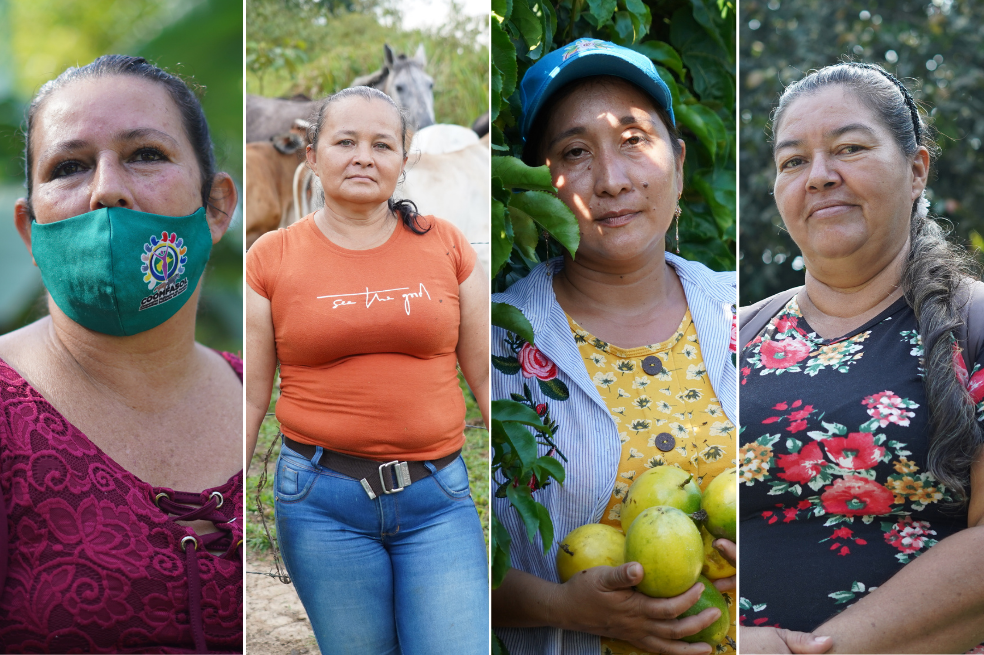 Las apuestas de las excocaleras para vivir en la legalidad