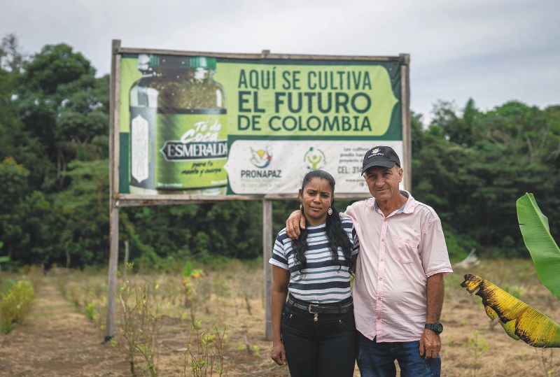 La familia que se aleja de lo ilícito y rescata los usos ancestrales de la coca