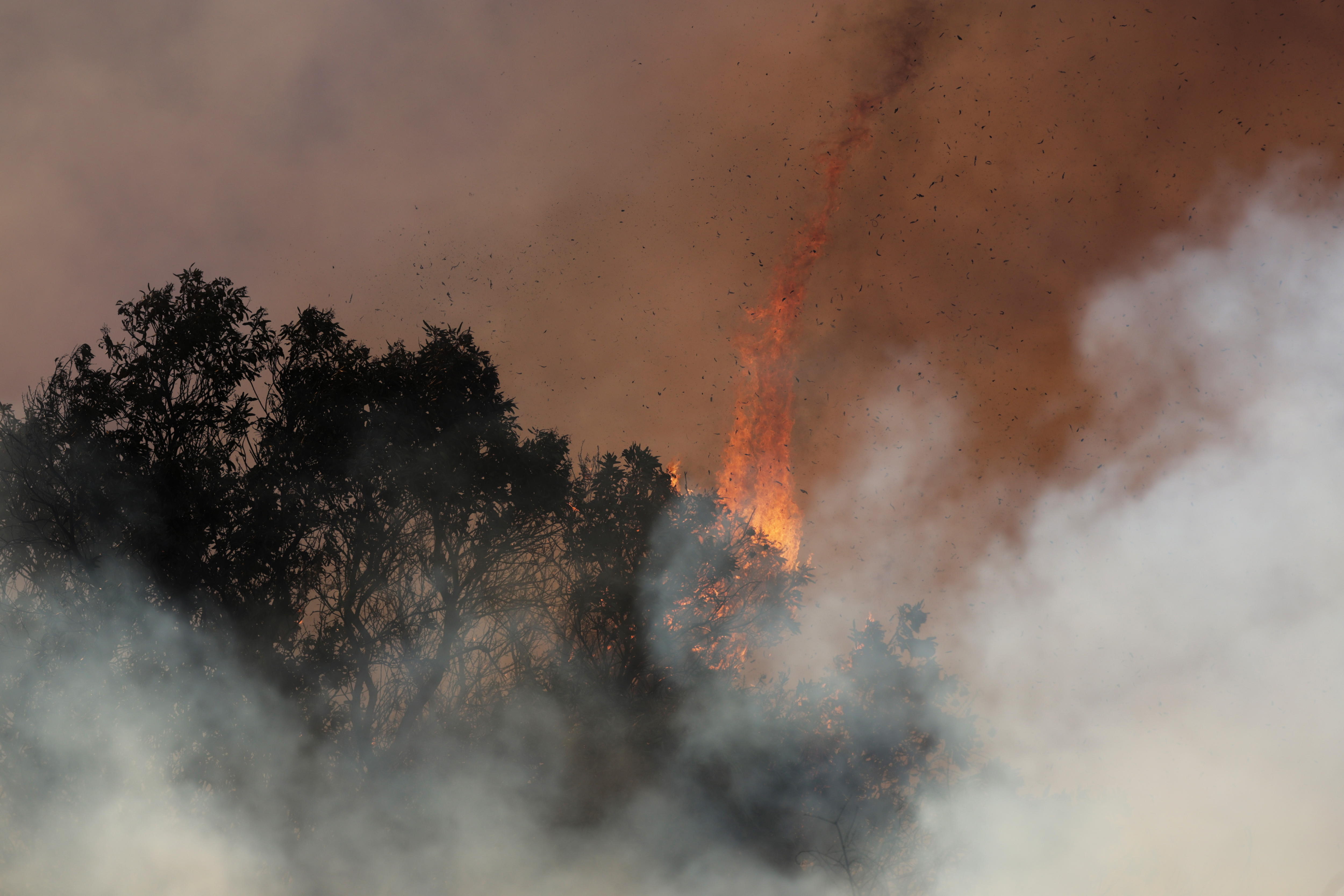 Del Amazonas a California: el cambio climático alimenta incendios cada vez más extremos