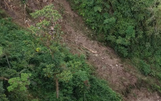 Alerta en el Cañón del Combeima tras deslizamientos por el terremoto