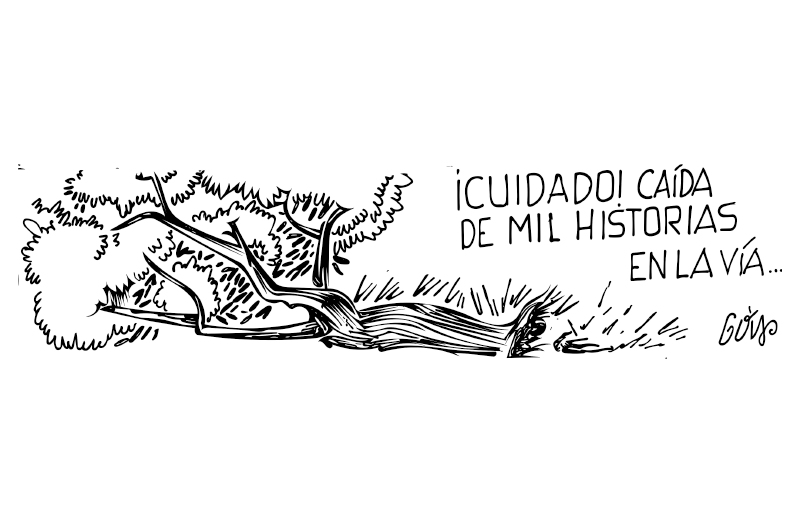 Árbol caído