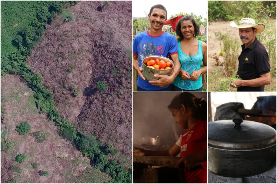 Sólo el 5% del bosque seco tropical que queda en el país está presente en el Sistema Nacional de Áreas Protegidas (Sinap). / Andrés Estefan En San José del Peñón, las familias han construido huertas caseras en sus patios. / Patrimonio Natural