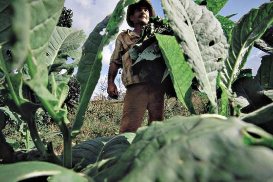 Acuerdo Agrario por la Paz