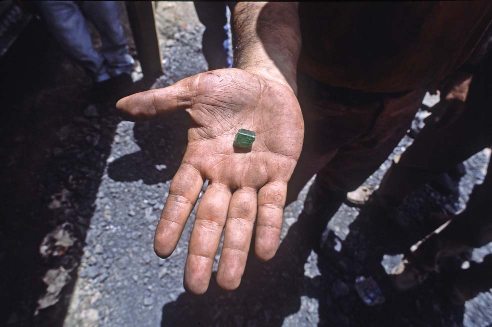 La pesadilla de la guerra verde