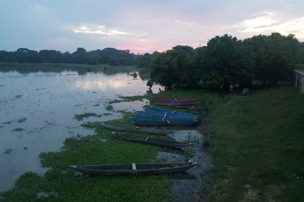 Colombia tiene un décimo sitio Ramsar: la Ciénaga de Zapatosa
