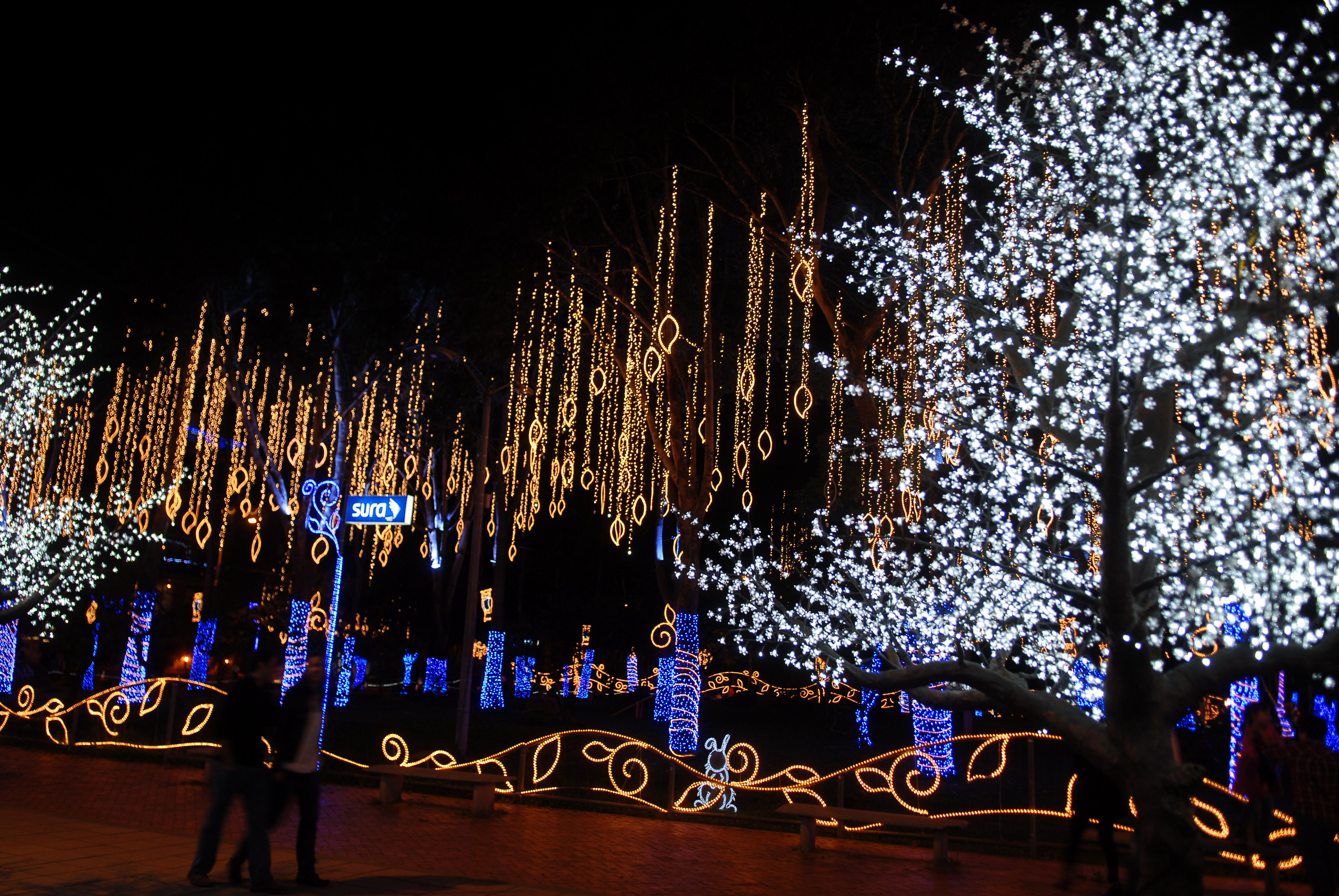 Se apagan las luces de navidad y se enciende un 2025 con Energías Limpias en Colombia
