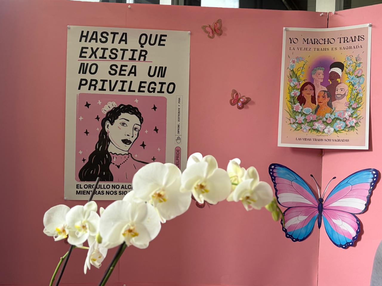 La sentencia que hace justicia con una refugiada venezolana en Colombia