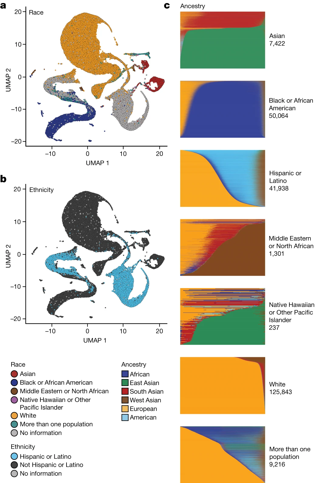 Gráfico de raza y etnia publicada en el estudio de Nature.