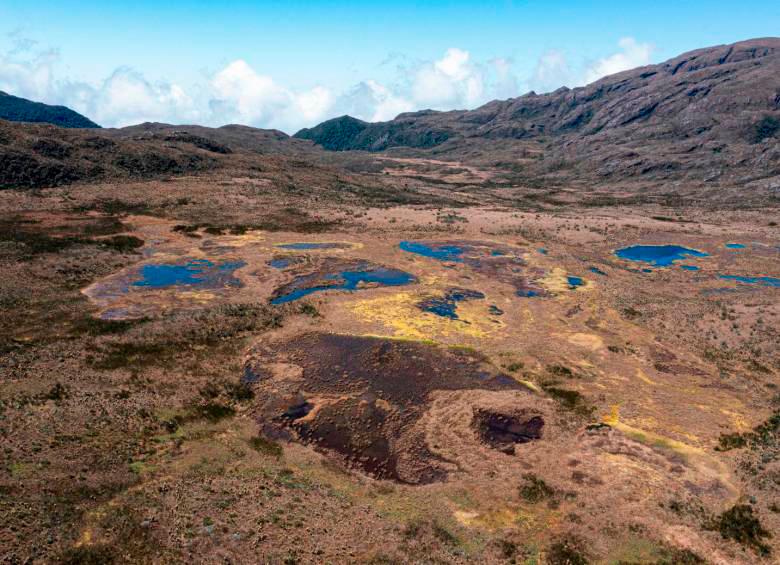 Páramo del sol: ¿apertura al ecoturismo o conservación ambiental?