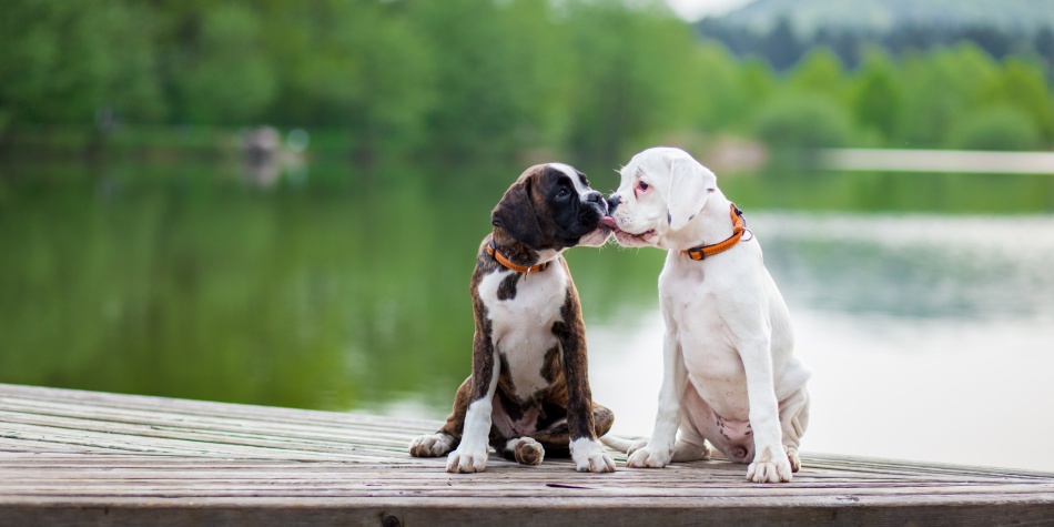 Y tú, ¿cómo besas?