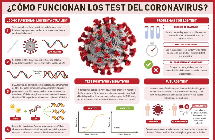 Esta infografia realizada por Compound Interest explica cómo funcionan las pruebas.