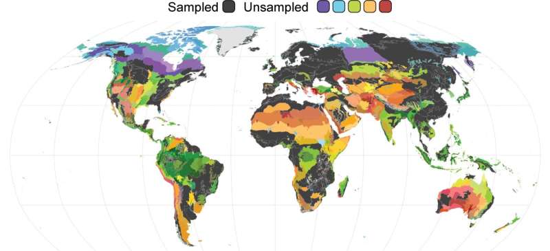 Las áreas coloreadas en el mapa indican ecorregiones sin datos de secuenciación de hongos AM disponibles públicamente.