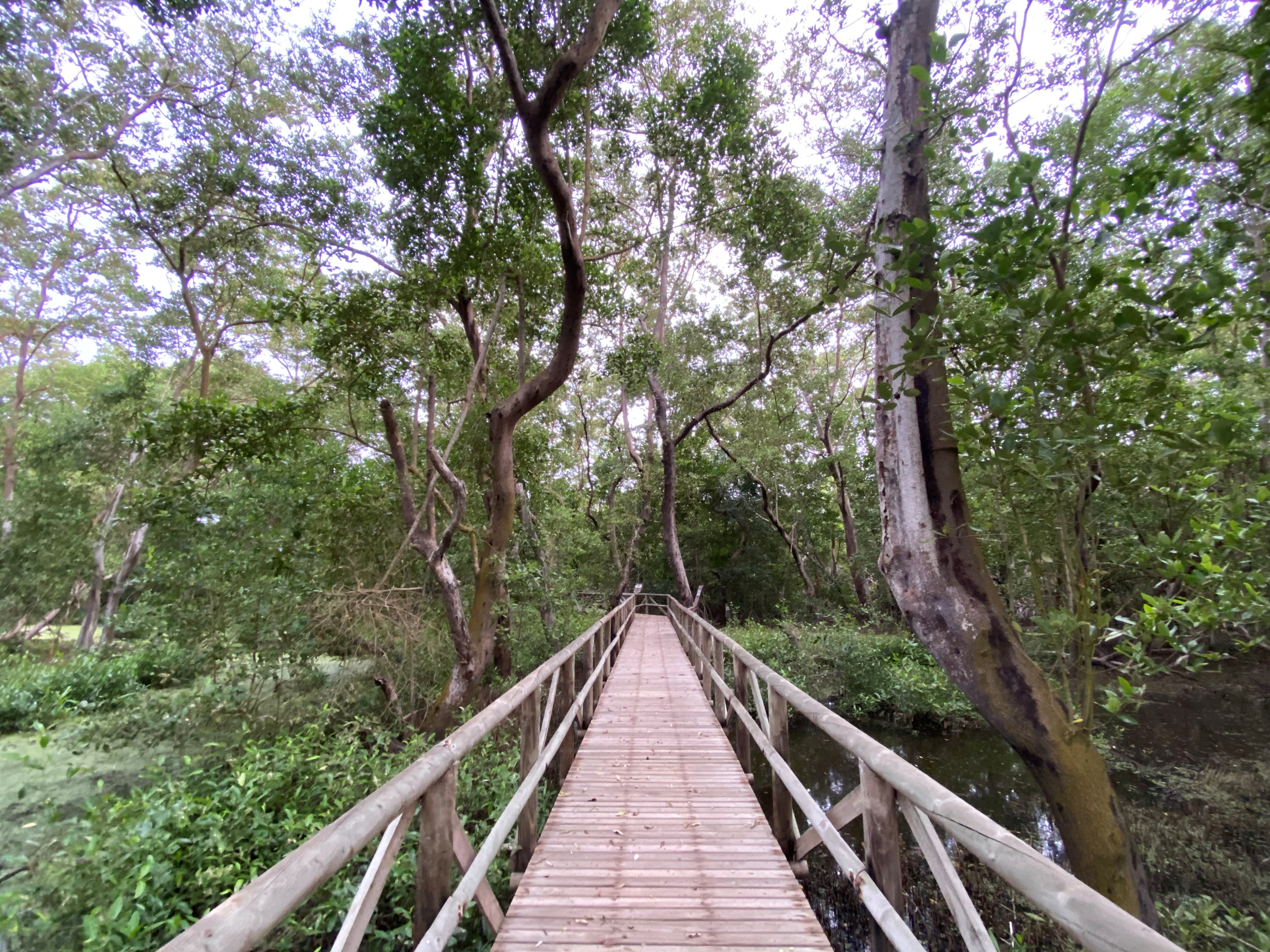 El ecosistema de Salamanca está compuesto por playones, ciénagas y bosques semisecos tropicales y mixtos que ocupan parte del Río Magdalena.